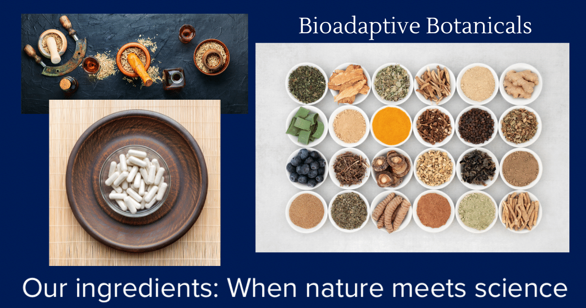 Bioadaptive Botanicals cut up in bowls and put into capsules