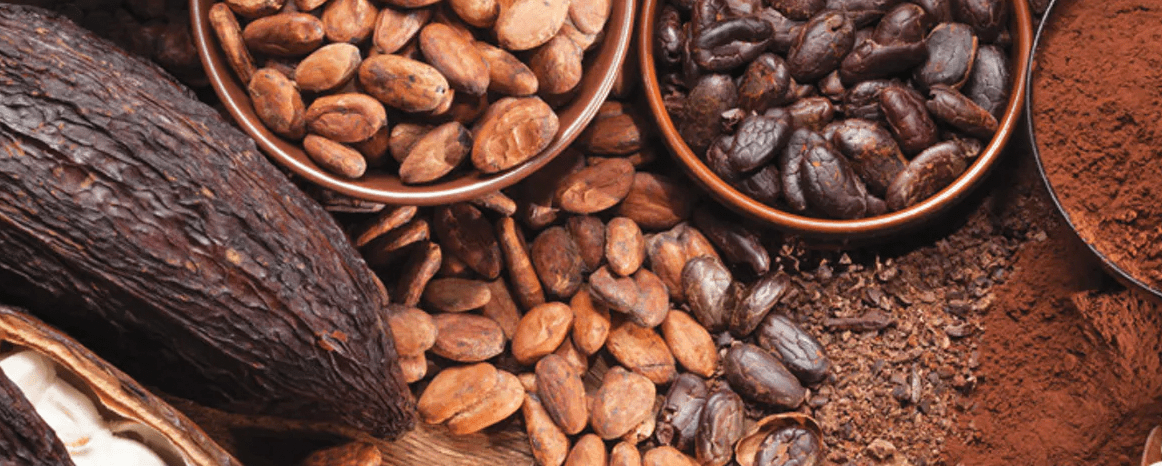 Cacao pods and seeds